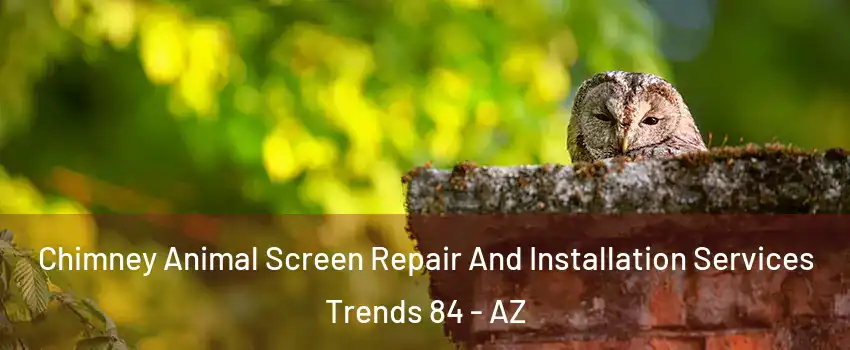 Chimney Animal Screen Repair And Installation Services Trends 84 - AZ