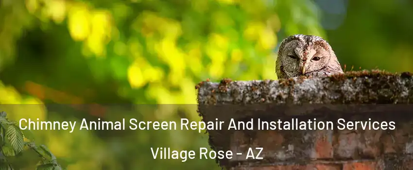 Chimney Animal Screen Repair And Installation Services Village Rose - AZ