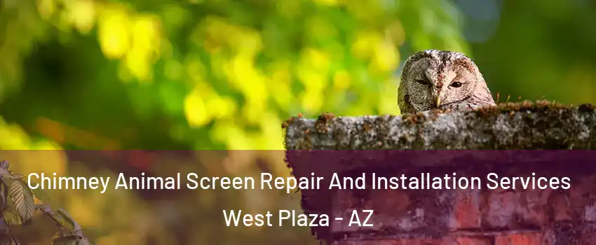 Chimney Animal Screen Repair And Installation Services West Plaza - AZ