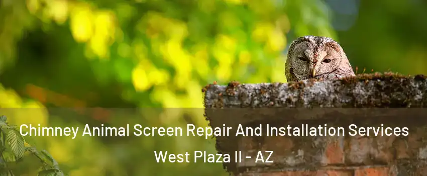 Chimney Animal Screen Repair And Installation Services West Plaza II - AZ