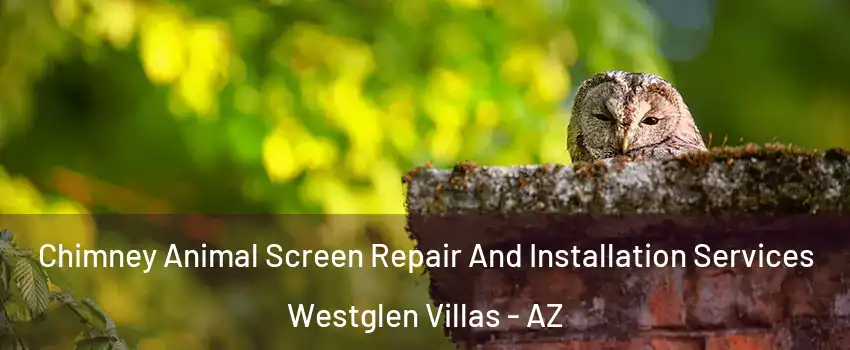 Chimney Animal Screen Repair And Installation Services Westglen Villas - AZ