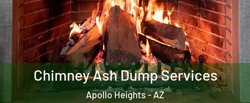 Chimney Ash Dump Services Apollo Heights - AZ