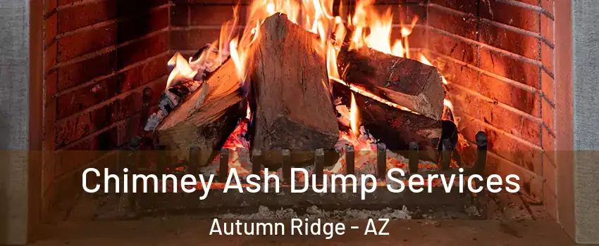 Chimney Ash Dump Services Autumn Ridge - AZ