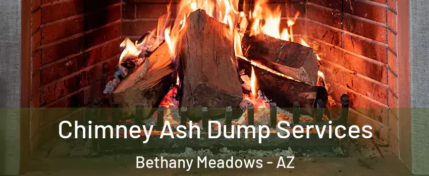 Chimney Ash Dump Services Bethany Meadows - AZ