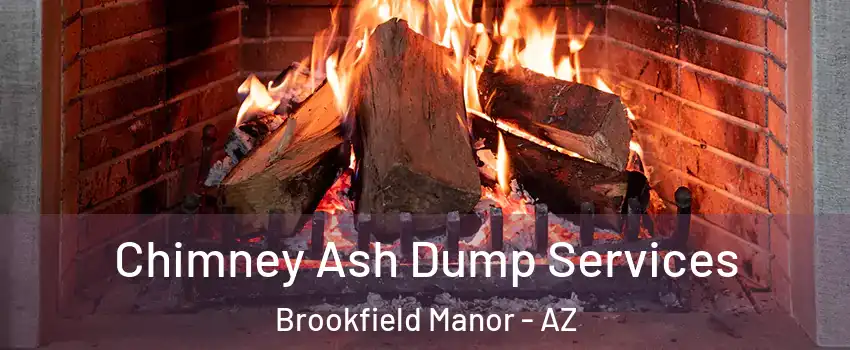 Chimney Ash Dump Services Brookfield Manor - AZ