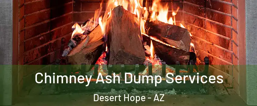 Chimney Ash Dump Services Desert Hope - AZ