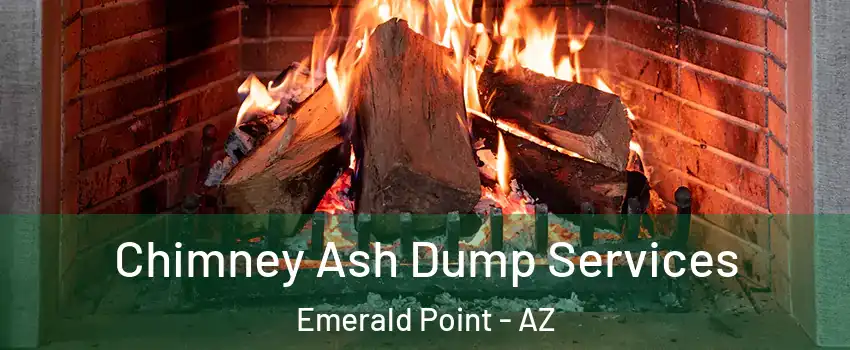 Chimney Ash Dump Services Emerald Point - AZ