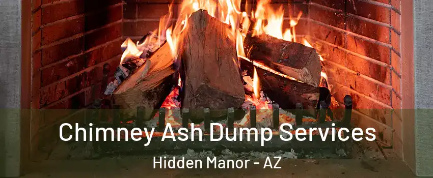 Chimney Ash Dump Services Hidden Manor - AZ