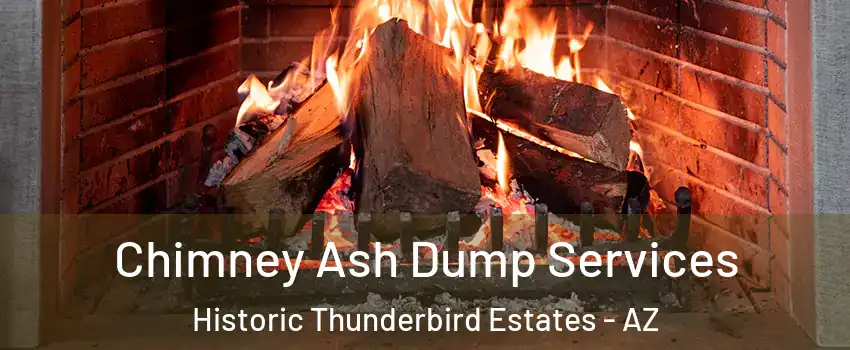 Chimney Ash Dump Services Historic Thunderbird Estates - AZ