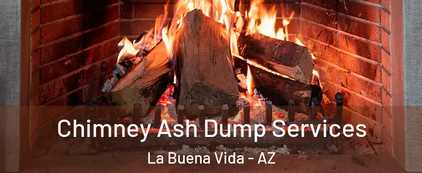 Chimney Ash Dump Services La Buena Vida - AZ