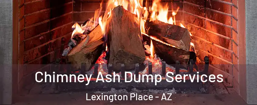 Chimney Ash Dump Services Lexington Place - AZ