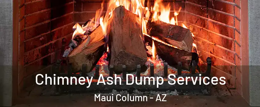 Chimney Ash Dump Services Maui Column - AZ