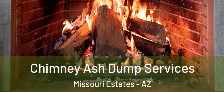 Chimney Ash Dump Services Missouri Estates - AZ
