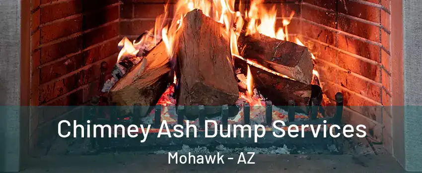 Chimney Ash Dump Services Mohawk - AZ