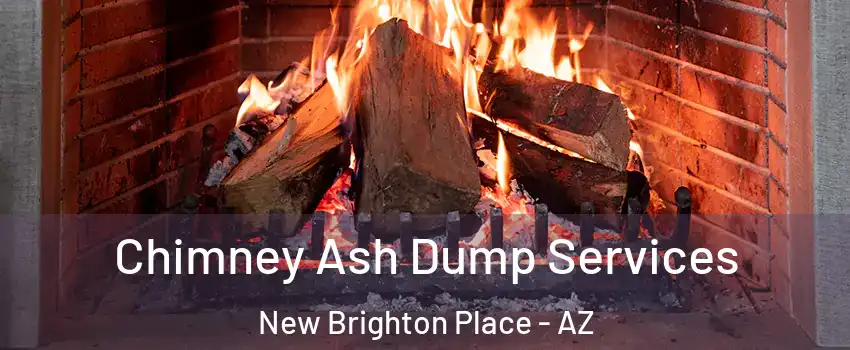 Chimney Ash Dump Services New Brighton Place - AZ