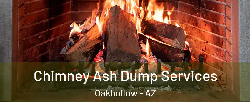 Chimney Ash Dump Services Oakhollow - AZ