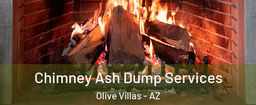 Chimney Ash Dump Services Olive Villas - AZ