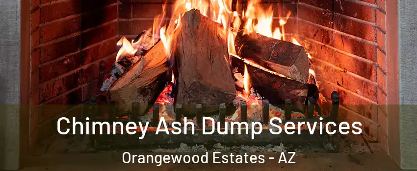 Chimney Ash Dump Services Orangewood Estates - AZ