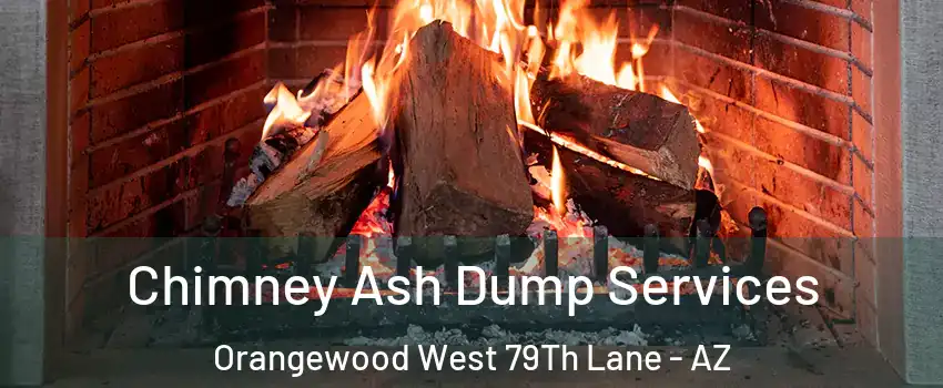 Chimney Ash Dump Services Orangewood West 79Th Lane - AZ