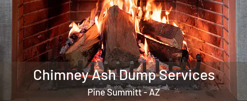 Chimney Ash Dump Services Pine Summitt - AZ