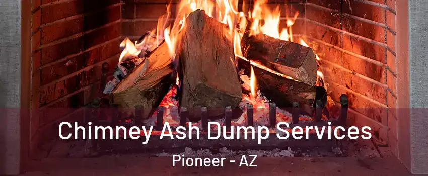 Chimney Ash Dump Services Pioneer - AZ