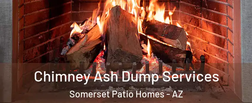 Chimney Ash Dump Services Somerset Patio Homes - AZ