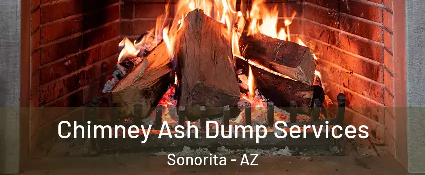 Chimney Ash Dump Services Sonorita - AZ