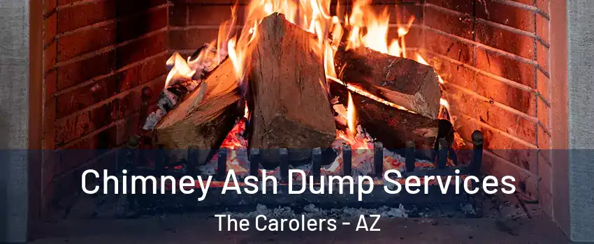 Chimney Ash Dump Services The Carolers - AZ