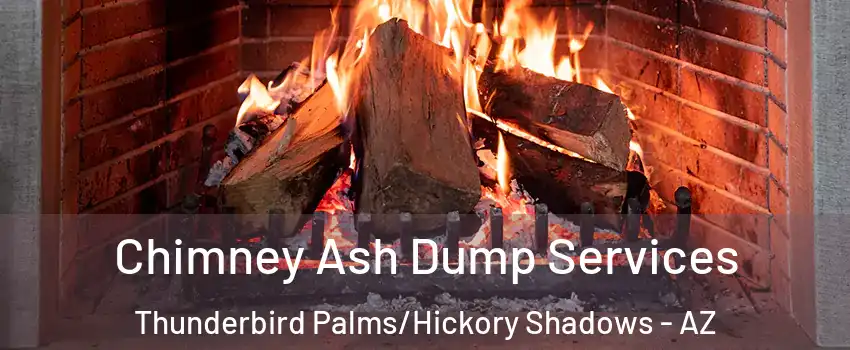 Chimney Ash Dump Services Thunderbird Palms/Hickory Shadows - AZ