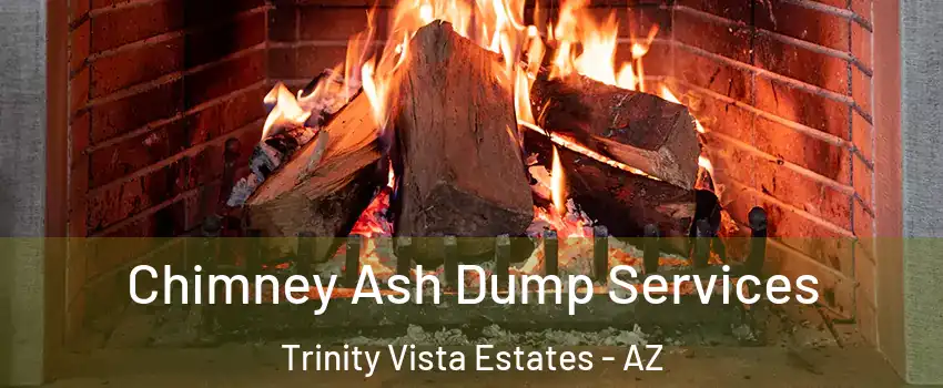 Chimney Ash Dump Services Trinity Vista Estates - AZ