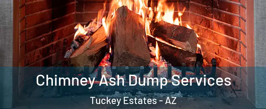 Chimney Ash Dump Services Tuckey Estates - AZ