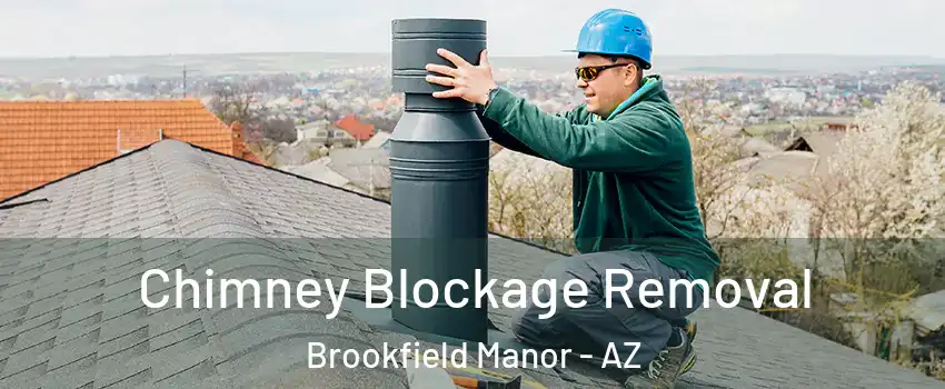 Chimney Blockage Removal Brookfield Manor - AZ