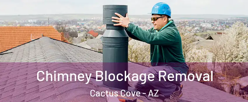 Chimney Blockage Removal Cactus Cove - AZ