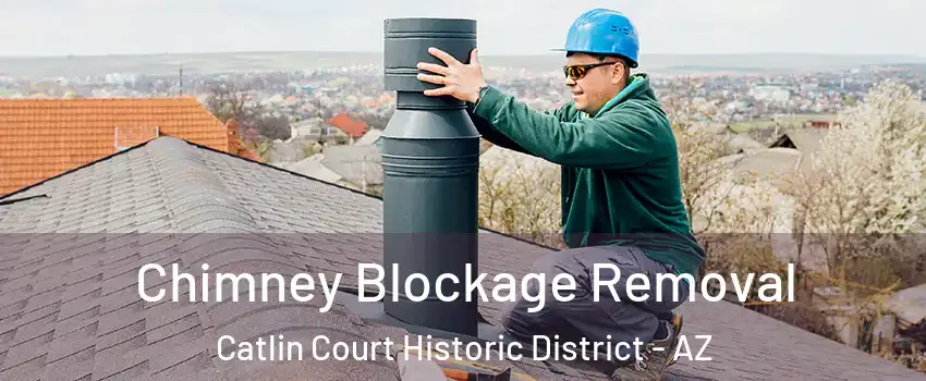 Chimney Blockage Removal Catlin Court Historic District - AZ