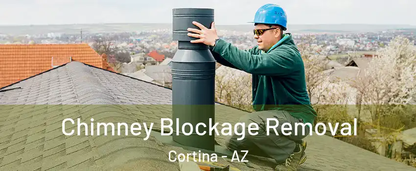 Chimney Blockage Removal Cortina - AZ