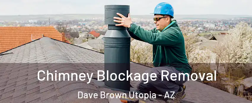 Chimney Blockage Removal Dave Brown Utopia - AZ