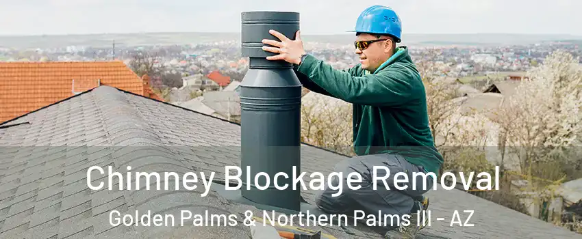 Chimney Blockage Removal Golden Palms & Northern Palms III - AZ