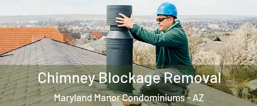 Chimney Blockage Removal Maryland Manor Condominiums - AZ