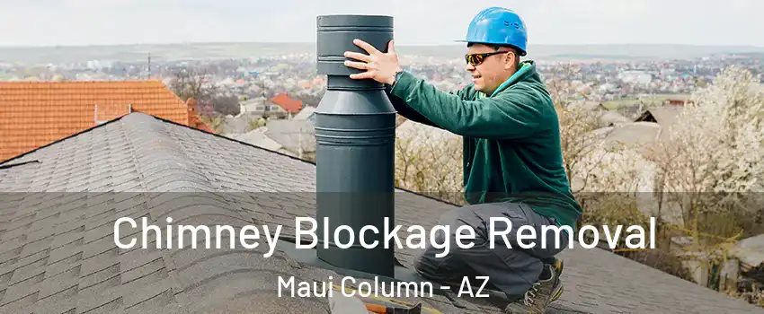 Chimney Blockage Removal Maui Column - AZ
