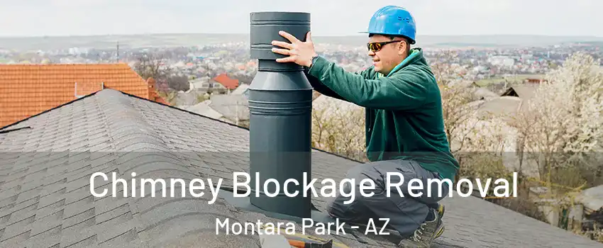 Chimney Blockage Removal Montara Park - AZ