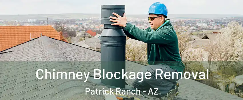 Chimney Blockage Removal Patrick Ranch - AZ