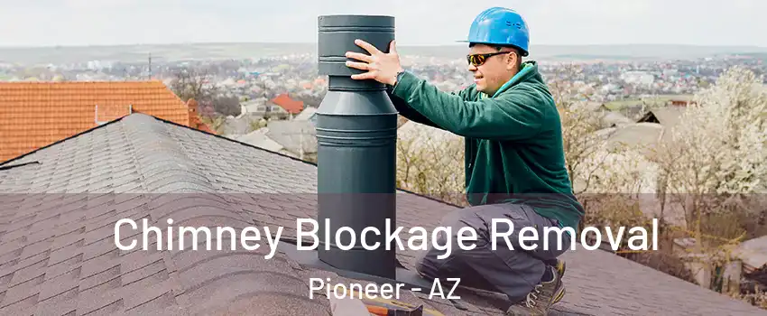 Chimney Blockage Removal Pioneer - AZ