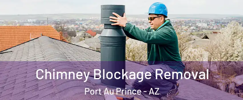 Chimney Blockage Removal Port Au Prince - AZ