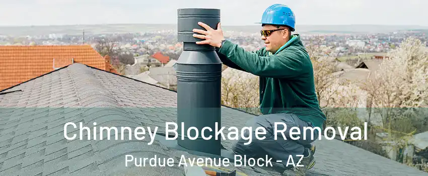 Chimney Blockage Removal Purdue Avenue Block - AZ