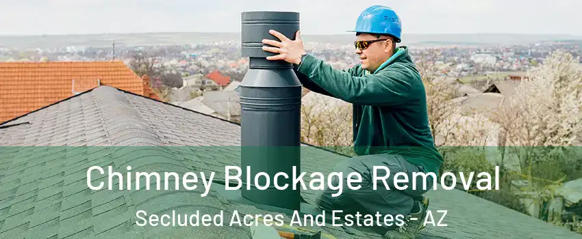 Chimney Blockage Removal Secluded Acres And Estates - AZ