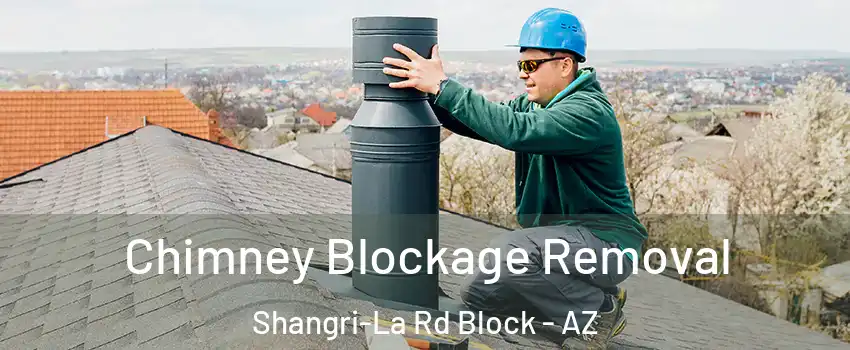 Chimney Blockage Removal Shangri-La Rd Block - AZ