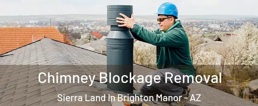 Chimney Blockage Removal Sierra Land In Brighton Manor - AZ