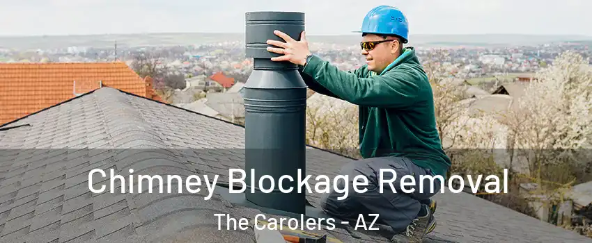 Chimney Blockage Removal The Carolers - AZ
