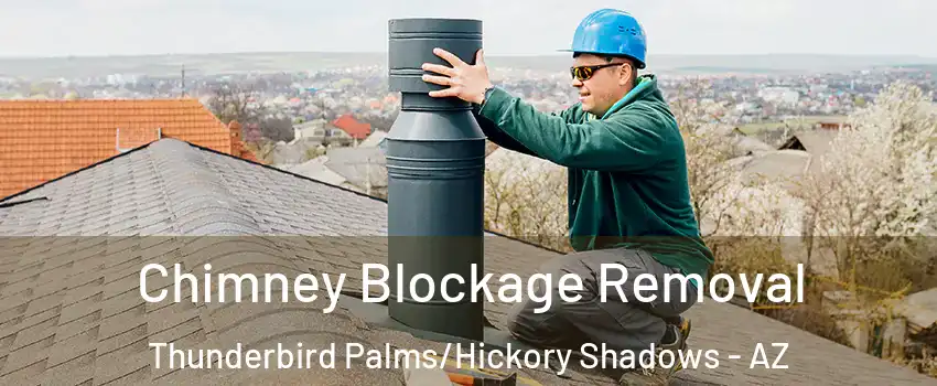 Chimney Blockage Removal Thunderbird Palms/Hickory Shadows - AZ