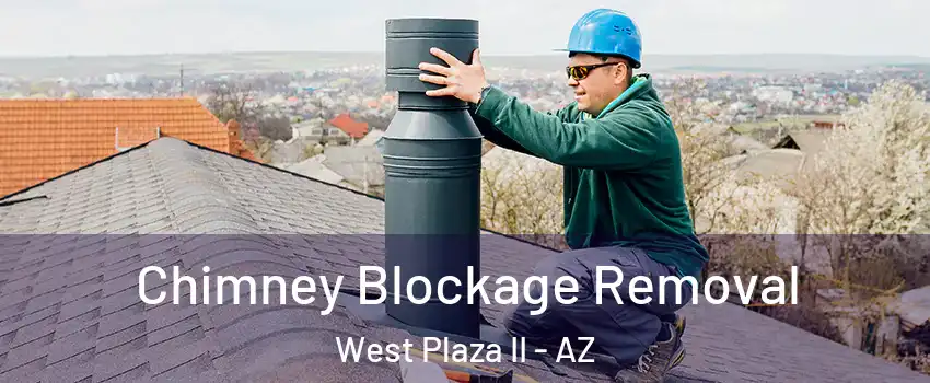 Chimney Blockage Removal West Plaza II - AZ